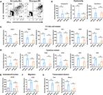 CD4 Antibody in Flow Cytometry (Flow)