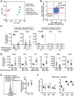 CD197 (CCR7) Antibody in Flow Cytometry (Flow)