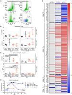 CD8a Antibody in Flow Cytometry (Flow)