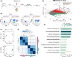 Ly-6G Antibody in Flow Cytometry (Flow)