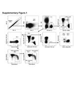 CD4 Antibody in Flow Cytometry (Flow)