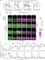 CD19 Antibody in Flow Cytometry (Flow)