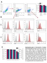 CD31 (PECAM-1) Antibody in Flow Cytometry (Flow)