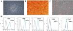 CD29 (Integrin beta 1) Antibody in Flow Cytometry (Flow)