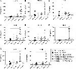 TNF alpha Antibody in ELISA (ELISA)