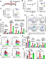 CD45 Antibody in Flow Cytometry (Flow)