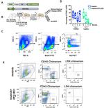 CD45.1 Antibody in Flow Cytometry (Flow)