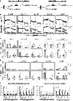 CD45.2 Antibody in Flow Cytometry (Flow)