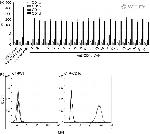 CD1d Antibody in Flow Cytometry (Flow)