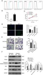 CD90.1 (Thy-1.1) Antibody in Flow Cytometry (Flow)