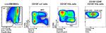 CD48 Antibody in Flow Cytometry (Flow)