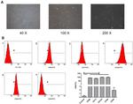 CD44 Antibody in Flow Cytometry (Flow)