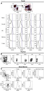 CD81 Antibody in Flow Cytometry (Flow)