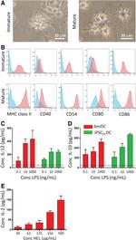 MHC Class II (I-A/I-E) Antibody in Flow Cytometry (Flow)