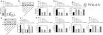 CD86 (B7-2) Antibody in Flow Cytometry (Flow)