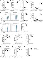 OVA257-264 (SIINFEKL) peptide bound to H-2Kb Antibody in Flow Cytometry (Flow)