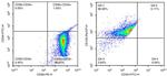 CD90.1 (Thy-1.1) Antibody in Flow Cytometry (Flow)