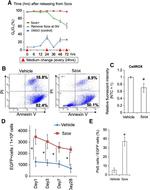 Ly-6A/E (Sca-1) Antibody in Flow Cytometry (Flow)