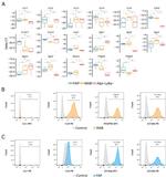 CD140a (PDGFRA) Antibody in Flow Cytometry (Flow)