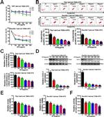 CD163 Antibody in Flow Cytometry (Flow)