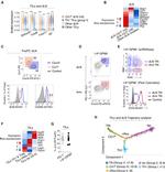 CD127 Antibody in Flow Cytometry (Flow)