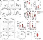 TCR alpha/beta Antibody in Flow Cytometry (Flow)