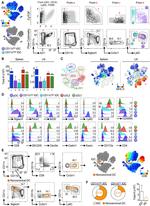 CD317 (BST2, PDCA-1) Antibody in Flow Cytometry (Flow)