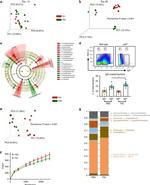 IgA Antibody in Flow Cytometry (Flow)