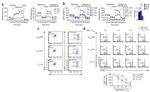 FOXP3 Antibody in Flow Cytometry (Flow)