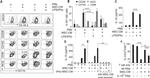 CD163 Antibody in Flow Cytometry (Flow)