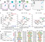 SOX2 Antibody in Flow Cytometry (Flow)