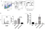 TER-119 Antibody in Flow Cytometry (Flow)