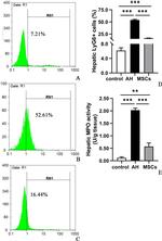 Ly-6G/Ly-6C Antibody in Flow Cytometry (Flow)