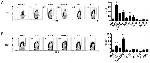 Ly-6A/E (Sca-1) Antibody in Flow Cytometry (Flow)