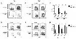 Ly-6C Antibody in Flow Cytometry (Flow)