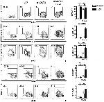 Ly-6C Antibody in Flow Cytometry (Flow)