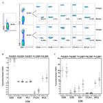 CD278 (ICOS) Antibody in Flow Cytometry (Flow)