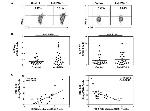 CD8a Antibody in Flow Cytometry (Flow)