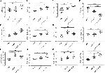 IFN gamma Antibody in Flow Cytometry (Flow)