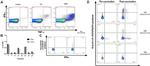 TNF alpha Antibody in Flow Cytometry (Flow)