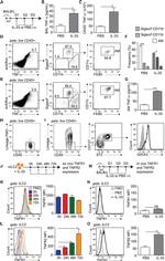 IL-33R (ST2) Antibody in Flow Cytometry (Flow)