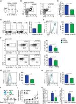 IL-13 Antibody in Flow Cytometry (Flow)