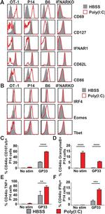 Granzyme B Antibody in Flow Cytometry (Flow)