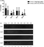 Prolactin Antibody in Immunoprecipitation (IP)