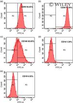 CD90 Antibody in Flow Cytometry (Flow)