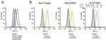 PD-L1 Antibody in Flow Cytometry (Flow)