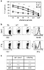 Granzyme B Antibody in Flow Cytometry (Flow)