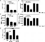 ITGB1 Antibody in T-Cell Activation (TCA)