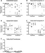 LIPG Antibody in Immunohistochemistry (IHC)