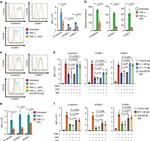 EPCR Antibody in Flow Cytometry (Flow)